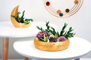 Lord of the Rings | Middle Earth Inspired Fantasy Ring 3D Printed Succulent Planter