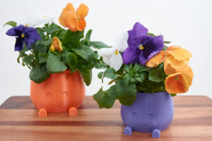 Cute plant pot Smiling Pot Smiley Face Pot Sprinkle Some Joy in Your Plant Corner Playful Planter A Dash of Humor